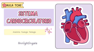 CURSO 1 SISTEMA CARDIOVASCULAR — Anatomía y Fisiología del Sistema Cardiocirculatorio